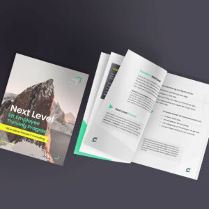 Consulting_Thumbnail